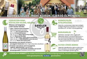2016-os programjaink